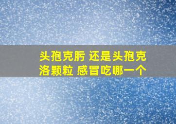 头孢克肟 还是头孢克洛颗粒 感冒吃哪一个